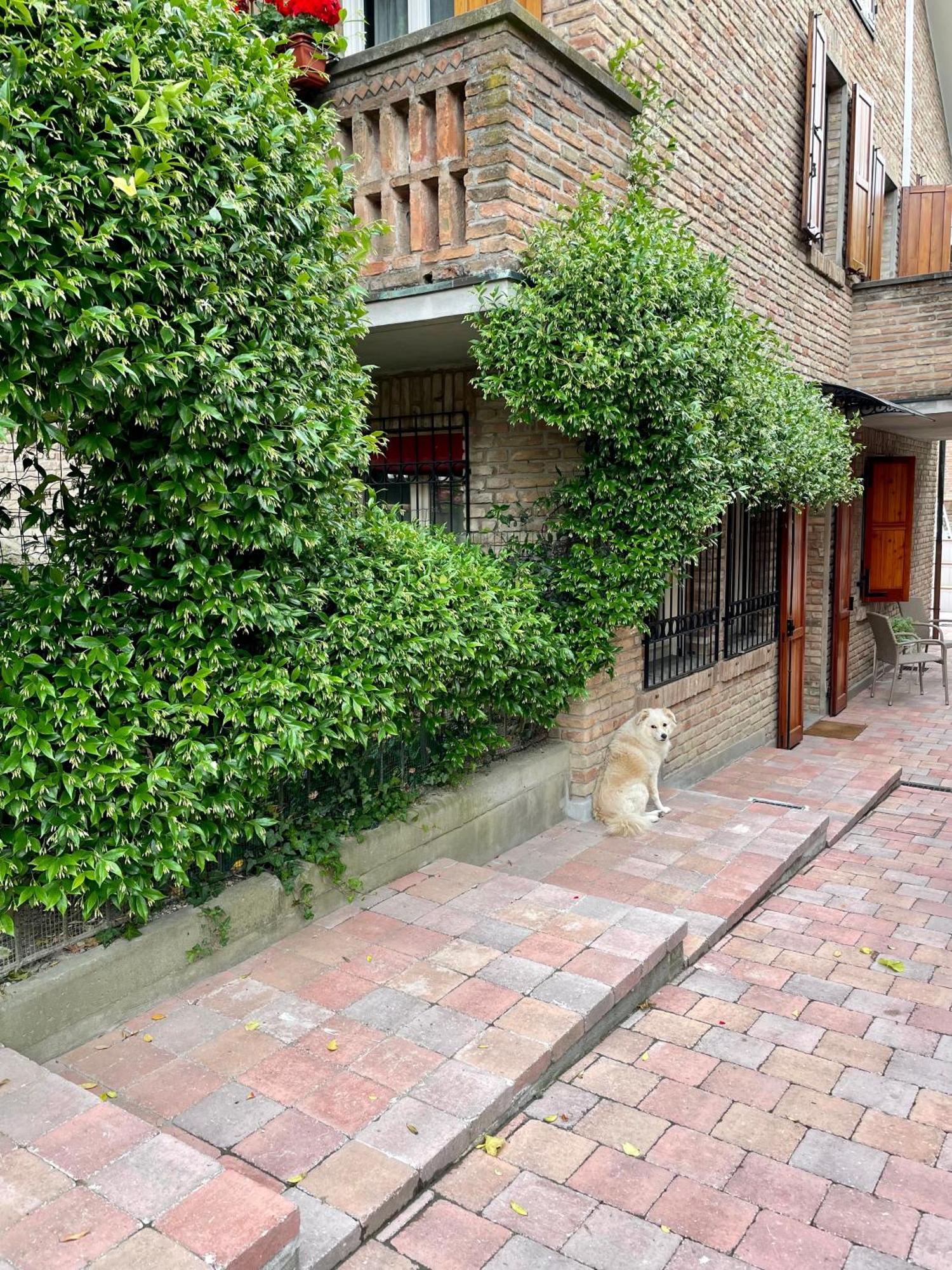 Ferienwohnung Casa Matilde Piano Terra 100Mq Con Parking E Piscina Ferrara Exterior foto